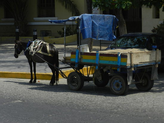Pferdefuhrwerk in Santa Marta