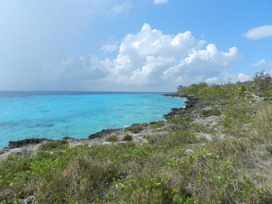 Strand in der Schweinebucht