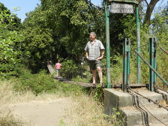 Wer von dieser Hängebrücke fällt, badet unweigerlich mit Hippos und Krokodilen im Grumettifluss