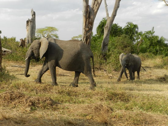 Mutter und Kind geben auch immer ein nettes Bild ab.