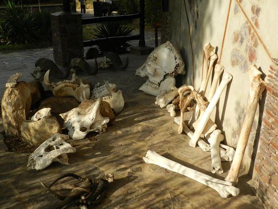 Fundstücke aus dem Park im Besucherzentrum