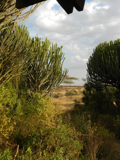 Neben der Tierwelt gibt es auch schöne Landschaften zu sehen.