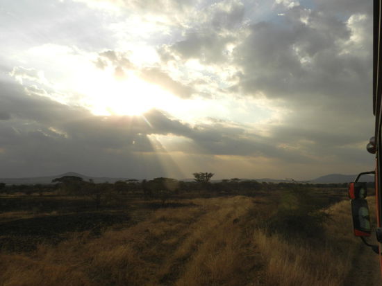 Sonnenuntergang in der Serengeti.