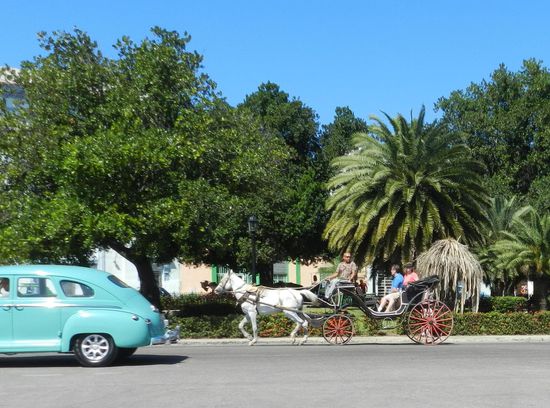 Oldtimer und Pferdefuhrwerk in Havanna