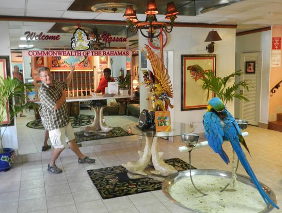 Welcome to ... Nassau, hier allerdings werden wir erst im Hotel und nicht auf dem Flughafen begrüßt