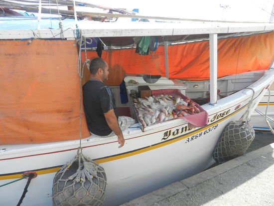 Frischfisch wird direkt vom Kutter verkauft