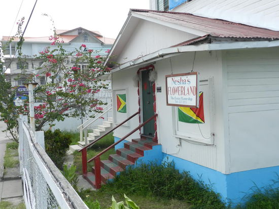 Ein kleiner Blumenladen existiert auch hier in Georgetown