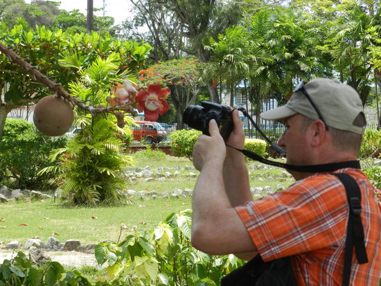 Udo knipst im botanischen Garten seltsame Baumfrüchte und -blüten