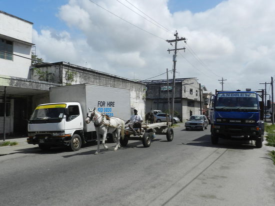Das allerbeste an Pferdefuhrwerken ist, dass sie keine Hupe haben, denn diese sind in Georgetown im Dauereinsatz und unerträglich
