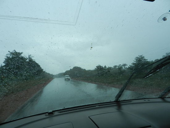 Im Regenwald da regnet´s halt!