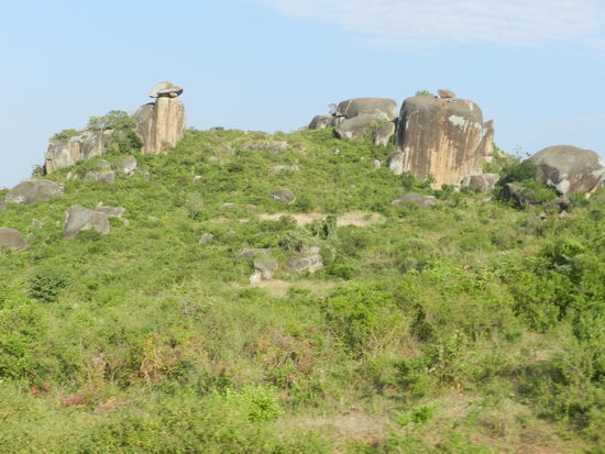 Zunächst ist die Landschaft noch abwechslungsreich und nett, später wird sie eintönig.