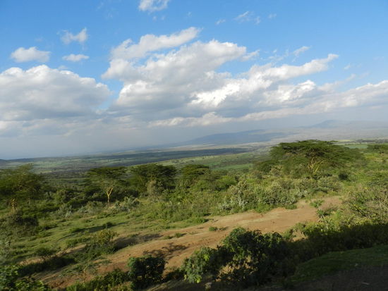 ... und Landschaften...