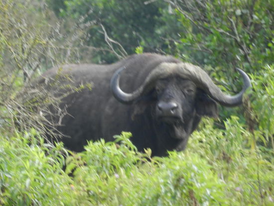 .. noch näher möchte man ihm gar nicht kommen.