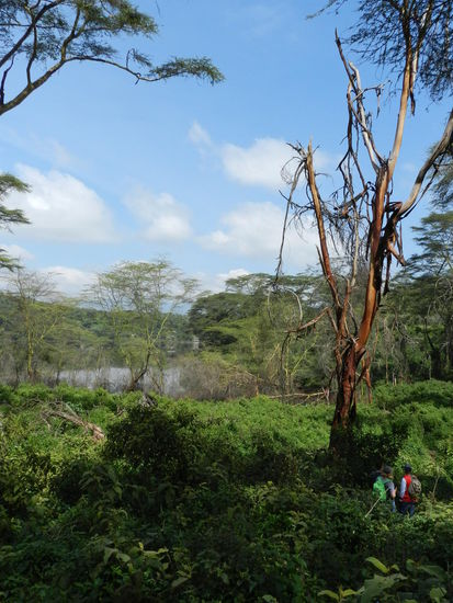 Die Landschaft rund um den Kratersee ist atemberaubend.