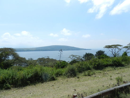 Dies ist nun mal der Lake Naivasha, ein großes Süßwasserreservoir.