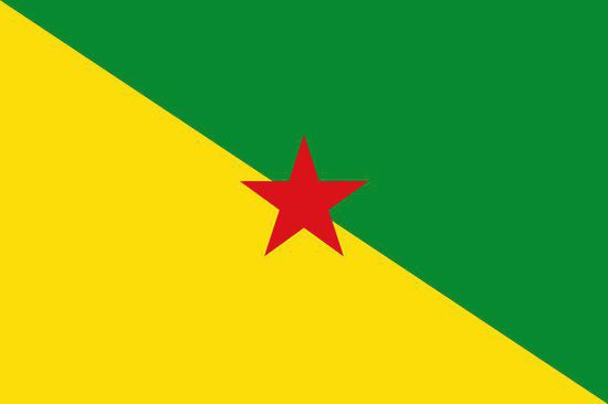 Die Flagge des Departements Französich-Guyana