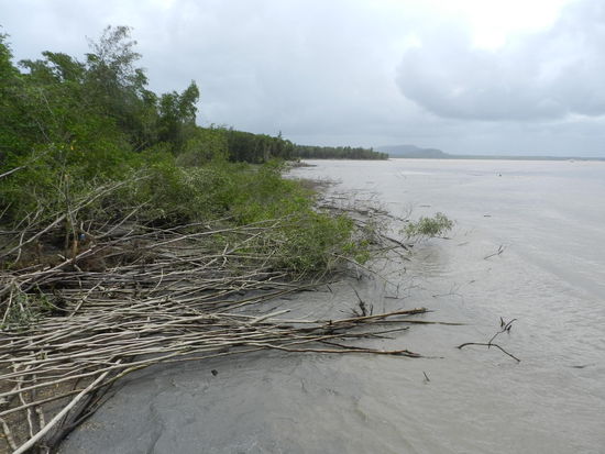 Atlantikufer, vom Amazonasschlamm beeinträchtigt
