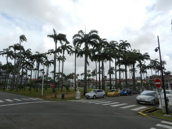 Der Palmenplatz in der Innenstadt