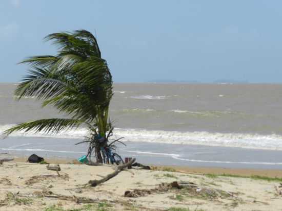 Am Strand von Kourou, im Hintergrund sind schwach die Iles de Salut zu erkennen