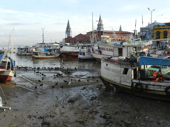 Blick über den Amazonashafen der Fischer, im Hintergrund die Fischmarkthalle