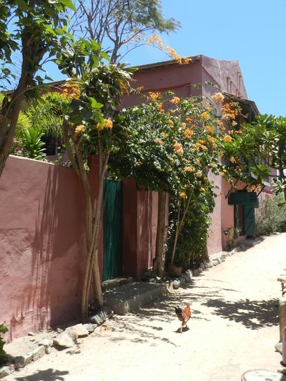 Die Gassen auf der Insel erfreuten mich immer wieder, so interessant und hübsch anzusehen waren sie