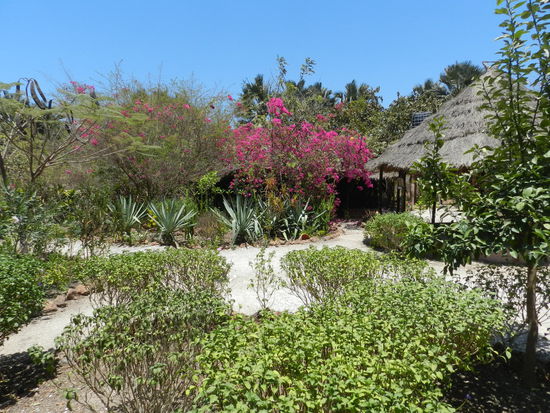 Der Garten der lodge kann sich sehen lassen