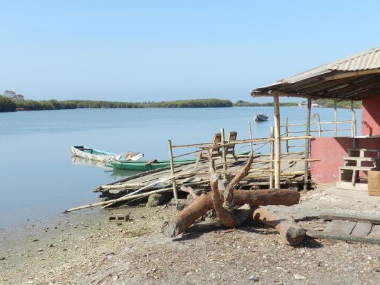 Die Bootsanlegestelle auf gambischer Seite; das Flußufer gegenüber gehört zum Senegal