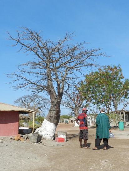 Baobabbaum und Einheimische am Flußufer