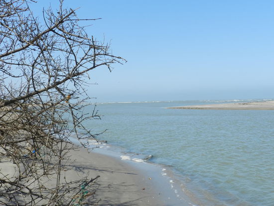 Auf der senegalesischen Seite des Flusses