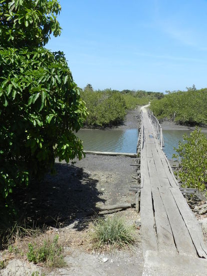 Steg über einen Nebenarm des Gambiarivers, in den Wetlands