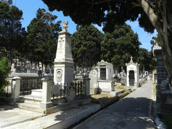 Auf dem alten christlichen Friedhof Algiers