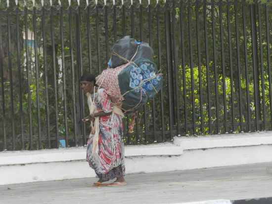 Plastikmuell wird gesammelt und wieder verwertet.