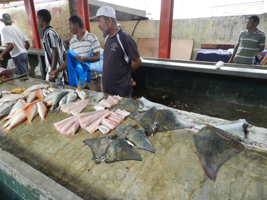 ... und noch mehr frischen Fisch.