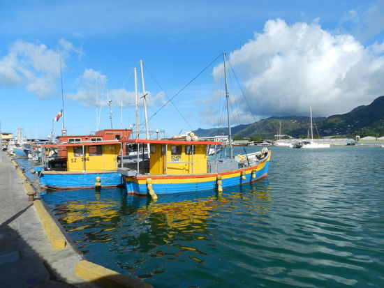 ...und den Fischereihafen.