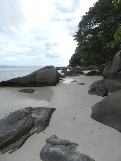 Der Strand von Beau Vallon, leider war es bedeckt, und da wirk alles etwas truebe.