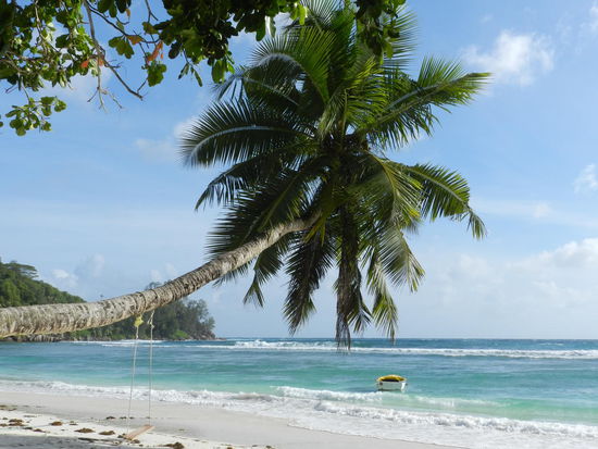 Bei diesem Anblick höre ich automatisch den Barcardiwerbesong....