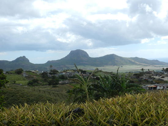Auf dem Weg von Port Louis nach Pamplemousse umfährt man diese Bergkette.