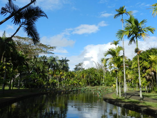 Auch hübsche Teiche gibt es im botanischen Garten.