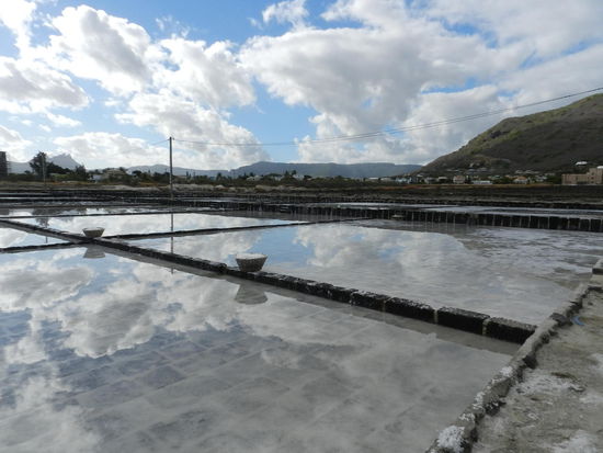 Die Saline von Tamarin