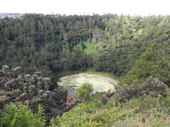 Dicht bewachsen sind die inneren Kraterwände