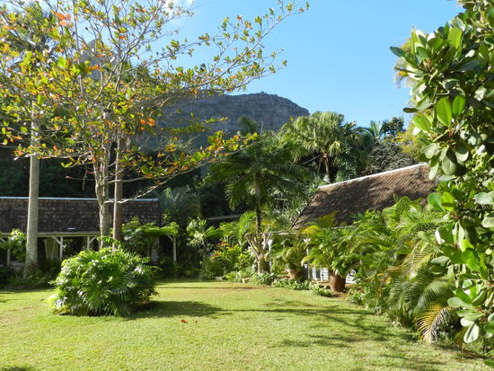 Garten und Nebengebäude