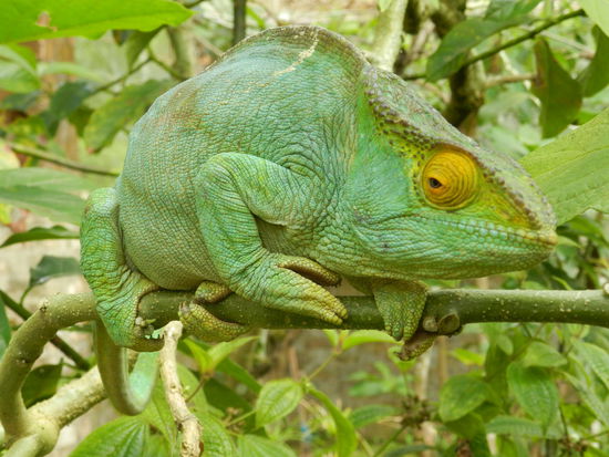 Ich konnte mich gar nicht sattsehen und machte über 100 Fotos in diesem Park.