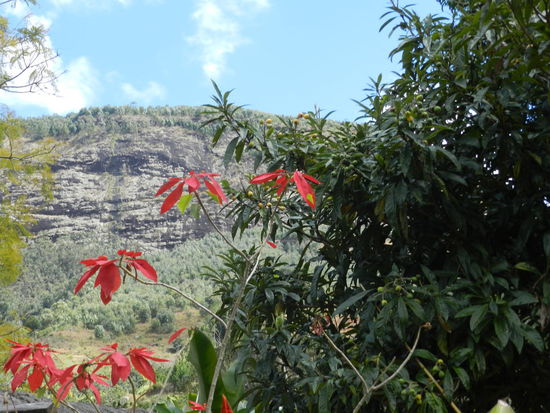 Der Park liegt wunderbar an einen Hügel angeschmiegt.