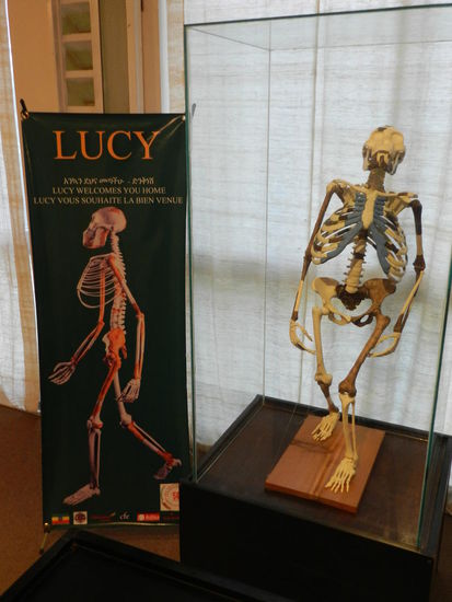 ...hier kommt Lucy, die "Schwester des Neanderthalers".