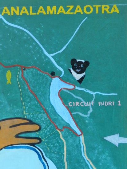 ... und des südlichen Analamazaotraparks.