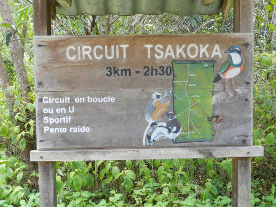 Die Rundwege sind verhältnismäßig gut ausgeschildert, aber um Lemuren zu sehen, muss man die Wege verlassen und tief ins Unterholz eindringen.