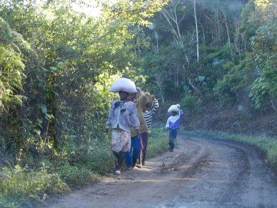 Ich habe mich die ganze Zeit im Park gefragt, woher diese Menschen kommen und wohin sie wohl gehen??