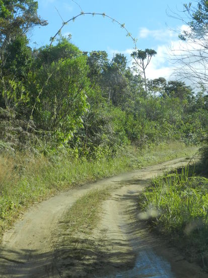 Angelrutenartig hängt Bambus über den schmalen Lehmwegen.