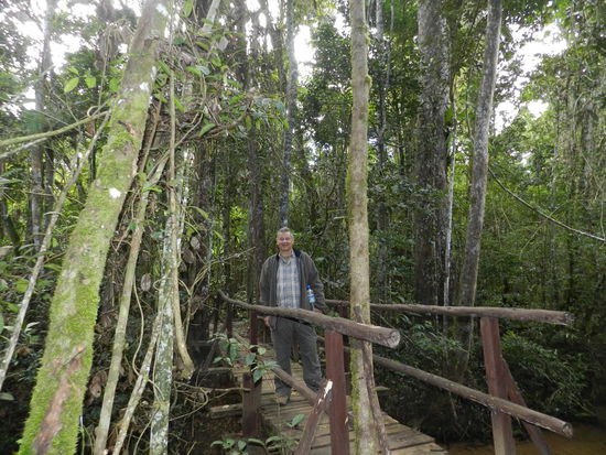 Dichtes Grün empfängt einen bereits kurz hinter dem Parkplatz.