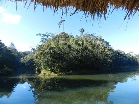Der "Lac verde", hinter diesem See wird der Regenwald dichter und dichter.